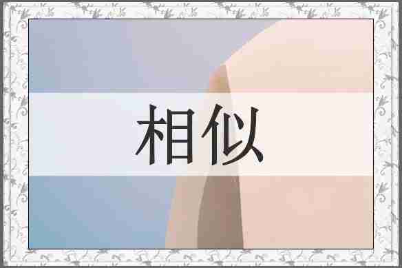 相似