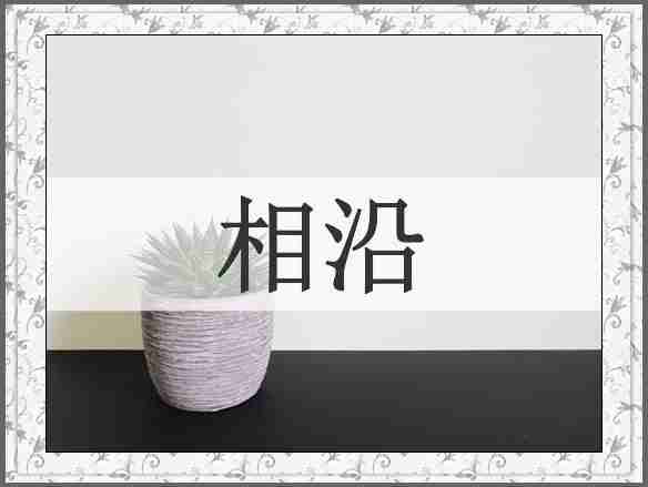 相沿