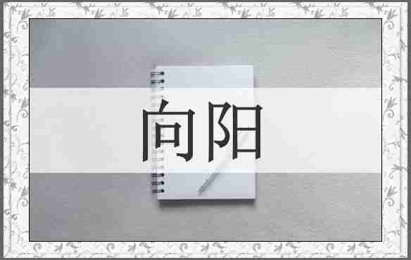 向阳