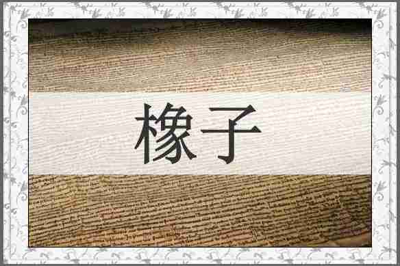橡子