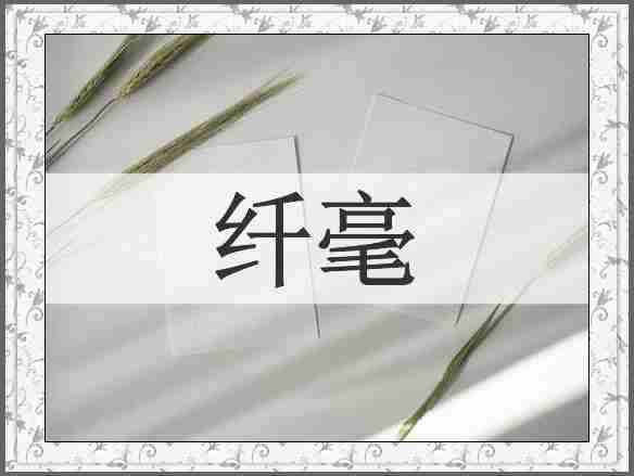 纤毫