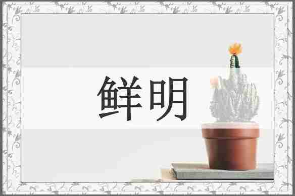 鲜明