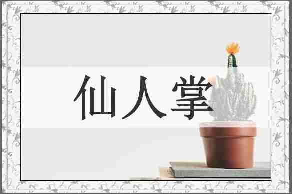 仙人掌