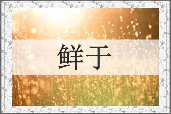 鲜于