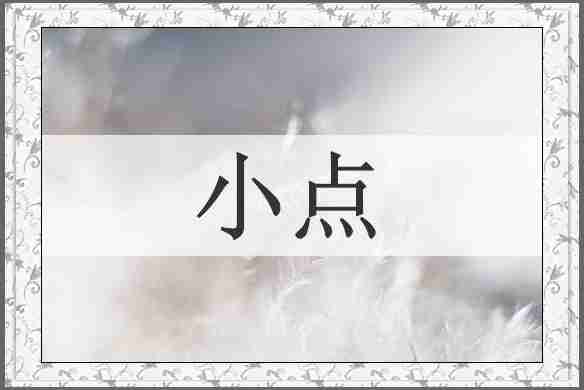 小点