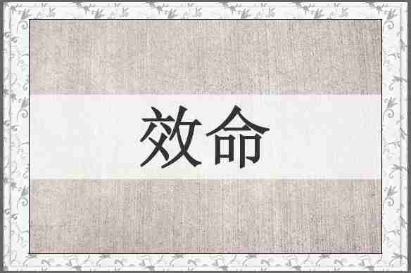 效命