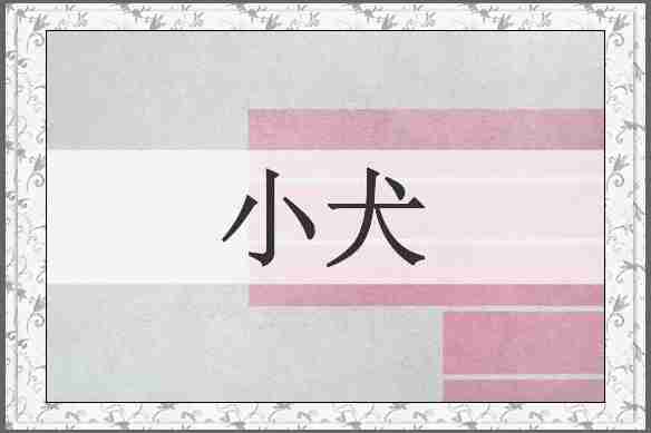 小犬
