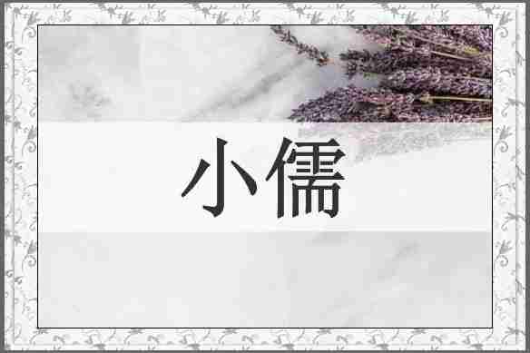 小儒