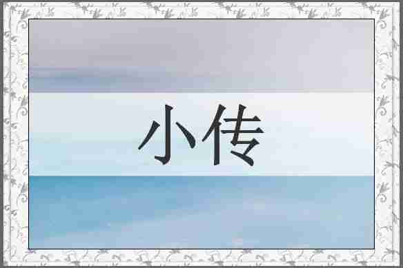 小传