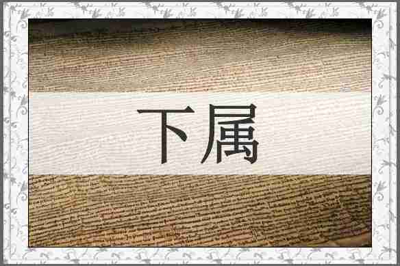 下属