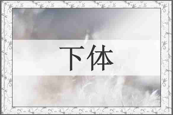 下体