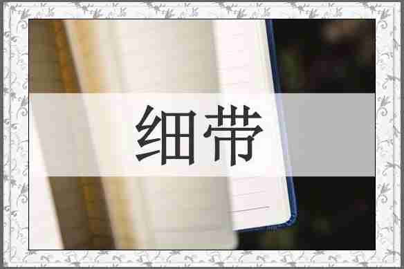 细带