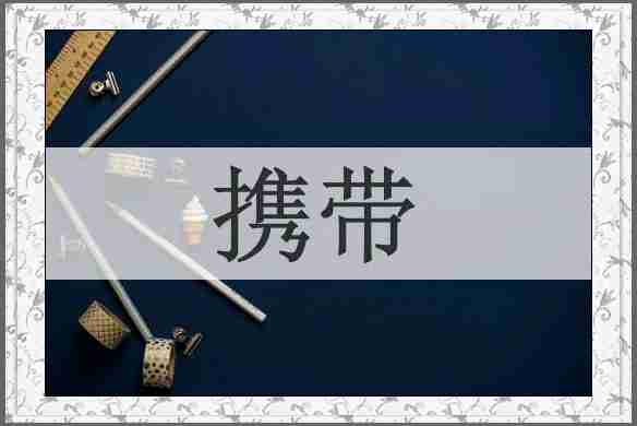 携带