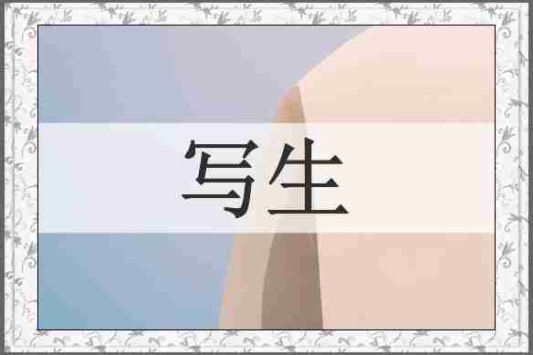 写生