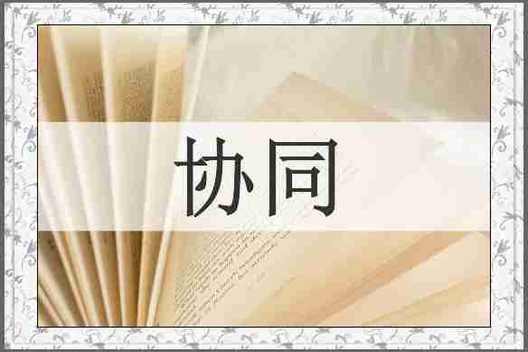 协同