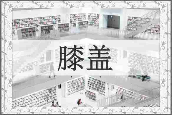 膝盖