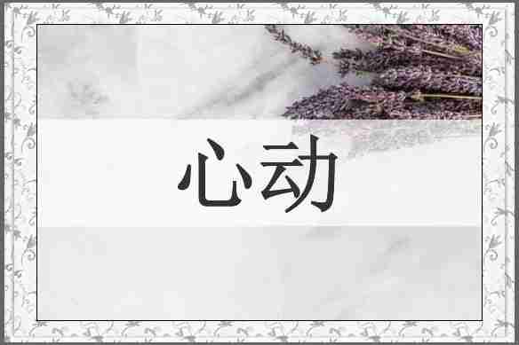 心动