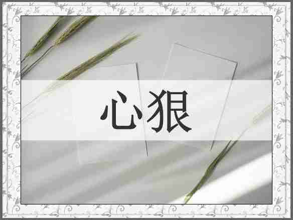 心狠