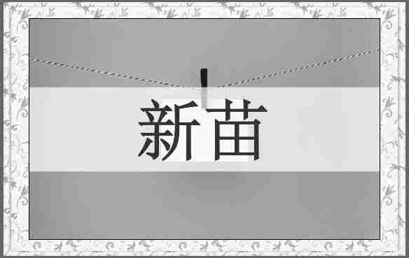 新苗