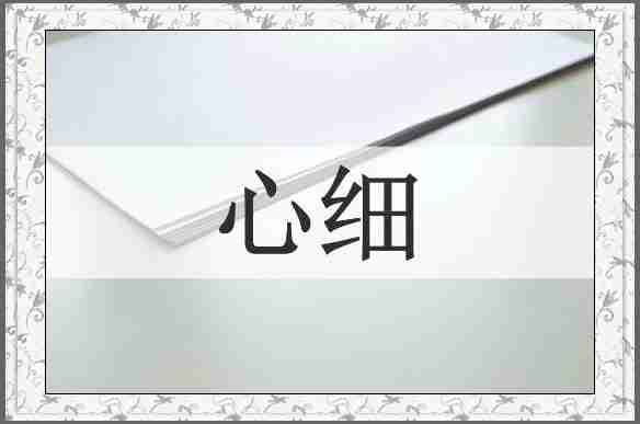 心细