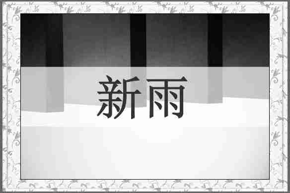 新雨