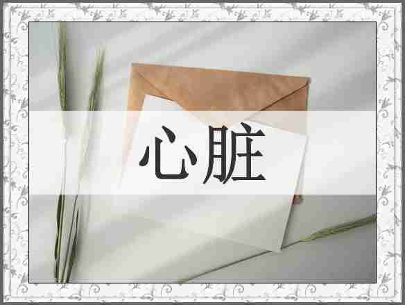 心脏