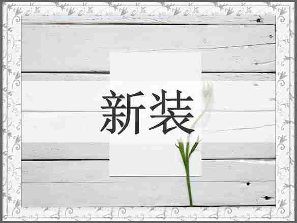 新装