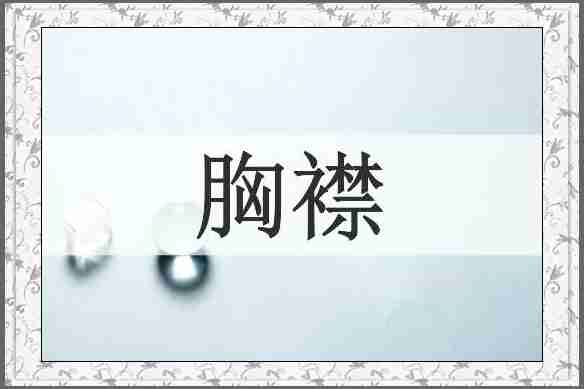 胸襟