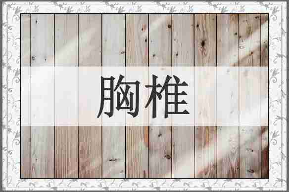 胸椎