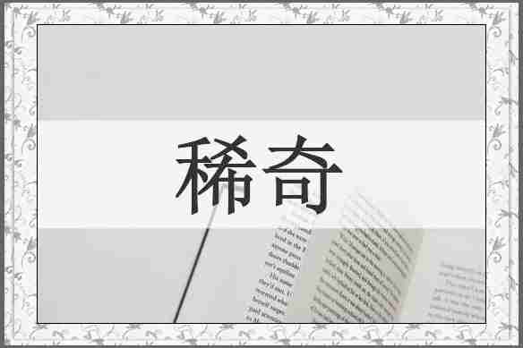 稀奇