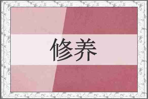 修养