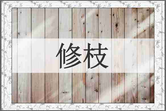 修枝