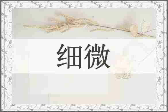 细微
