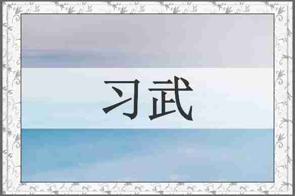 习武