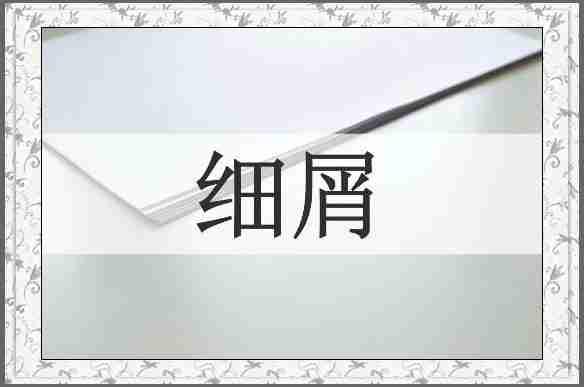 细屑