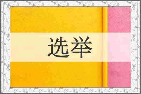 选举