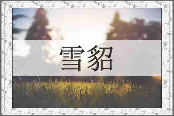雪貂