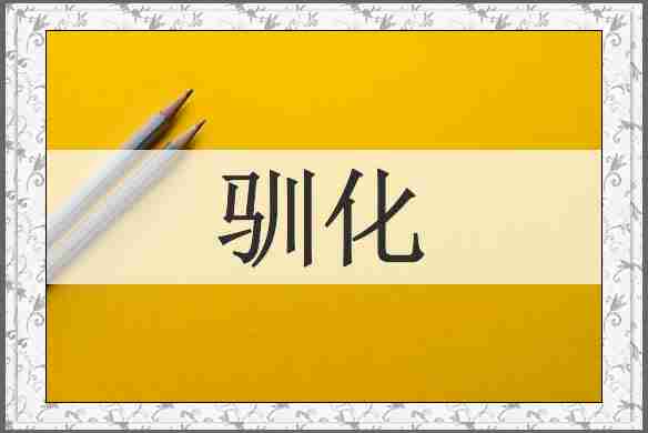 驯化
