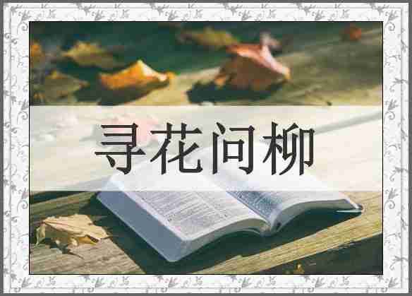 寻花问柳
