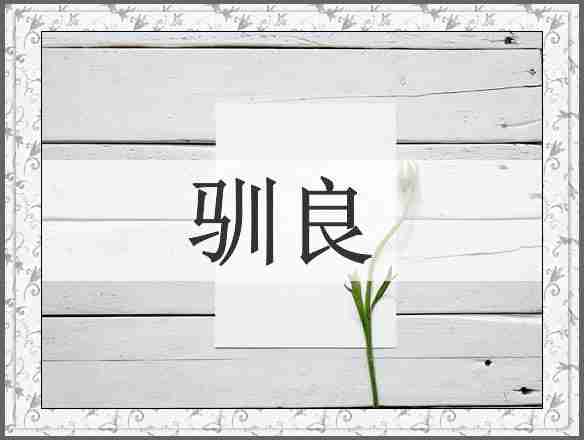 驯良