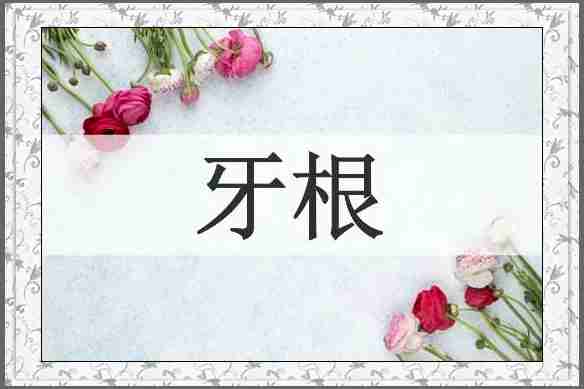 牙根