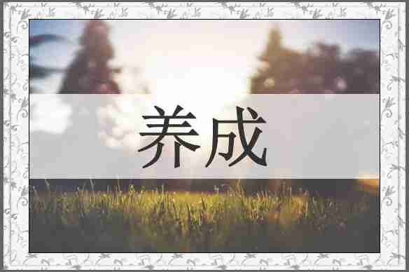 养成