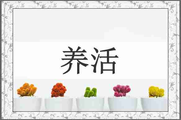 养活