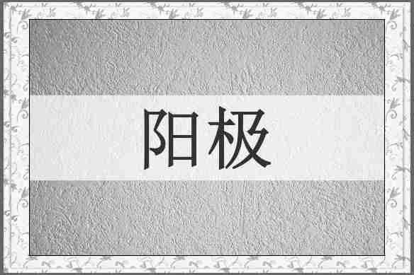 阳极