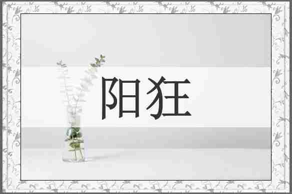 阳狂