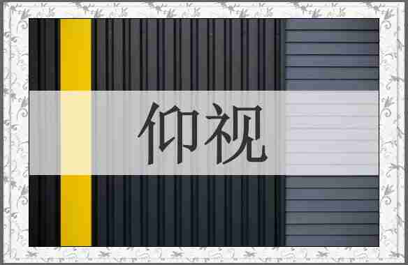 仰视