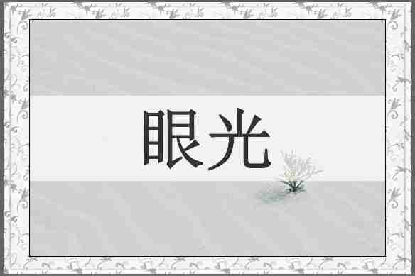 眼光