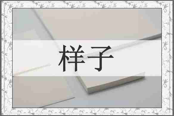 样子