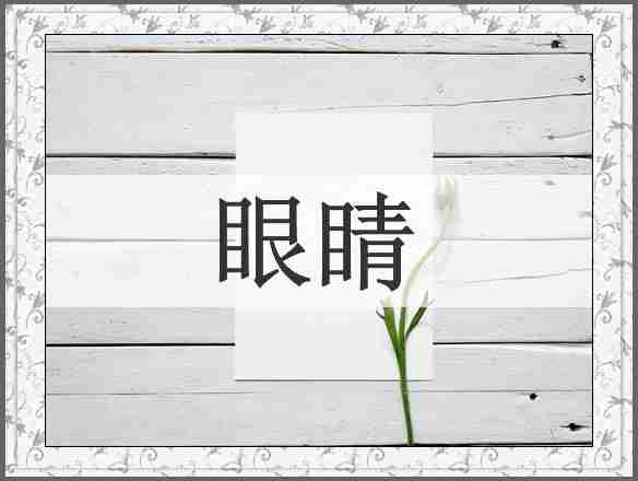 眼睛