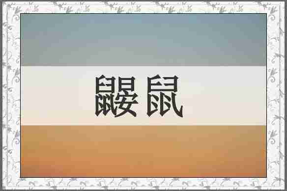 鼹鼠